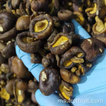 Kerepek cendawan shiitake berkualiti